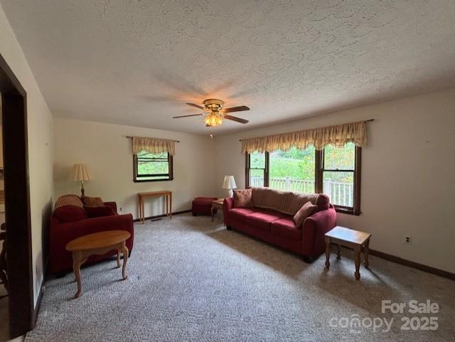 45 Old Cove Rd, Sylva, NC 28779 - living room featuring healthy amount of natural light, carpet, ceiling fan, a textured ceiling, and baseboards