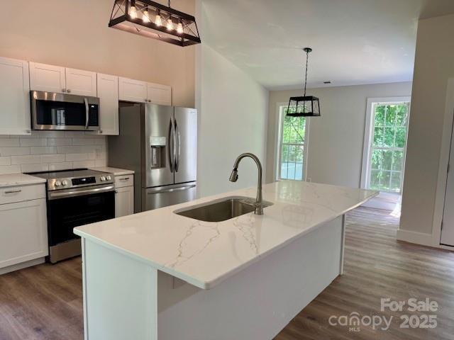 117 N River Glen Dr, Morganton, NC 28655 - kitchen with stainless steel appliances, a sink, wood finished floors, and decorative backsplash