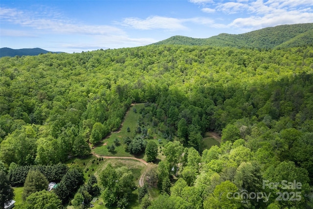 1557 Shoal Creek Rd, Balsam Grove, NC 28708