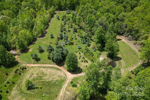 1557 Shoal Creek Rd, Balsam Grove, NC 28708