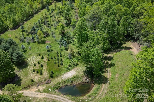 1557 Shoal Creek Rd, Balsam Grove, NC 28708