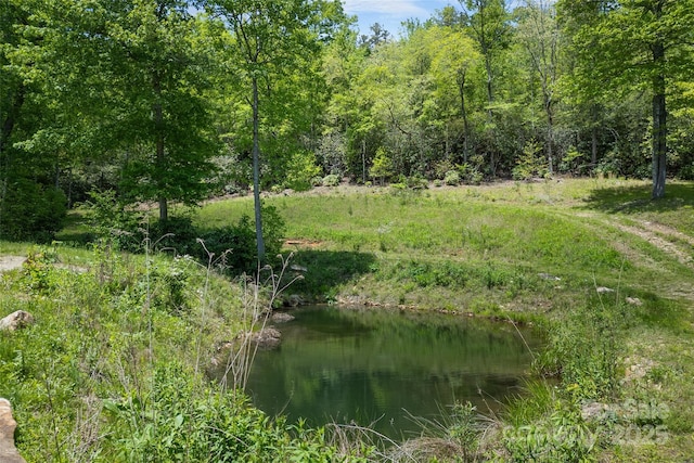 1557 Shoal Creek Rd, Balsam Grove, NC 28708
