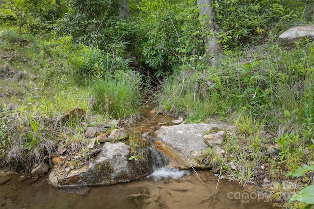 1557 Shoal Creek Rd, Balsam Grove, NC 28708