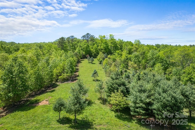 1557 Shoal Creek Rd, Balsam Grove, NC 28708