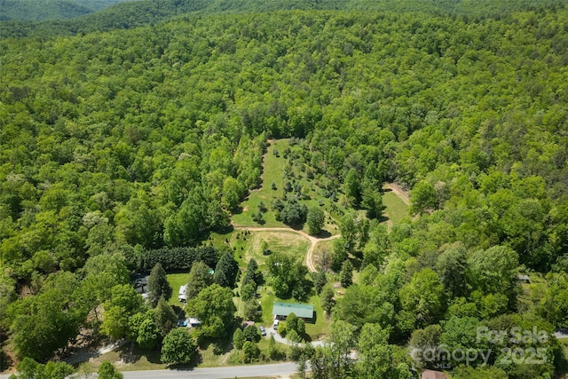 1557 Shoal Creek Rd, Balsam Grove, NC 28708