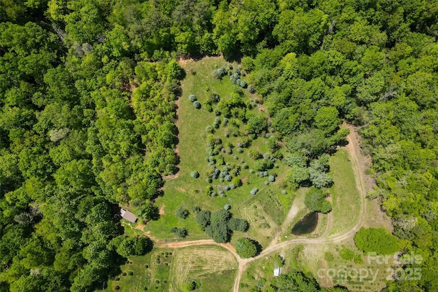 1557 Shoal Creek Rd, Balsam Grove, NC 28708