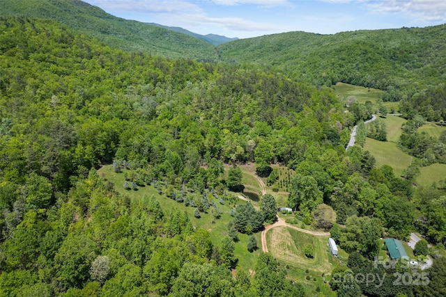1557 Shoal Creek Rd, Balsam Grove, NC 28708