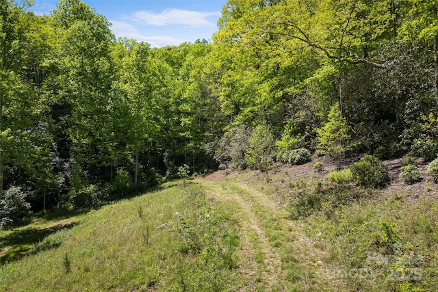 1557 Shoal Creek Rd, Balsam Grove, NC 28708