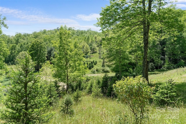 1557 Shoal Creek Rd, Balsam Grove, NC 28708