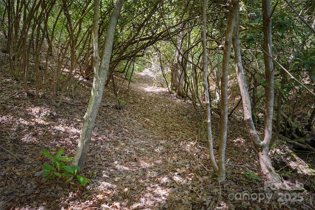 1557 Shoal Creek Rd, Balsam Grove, NC 28708