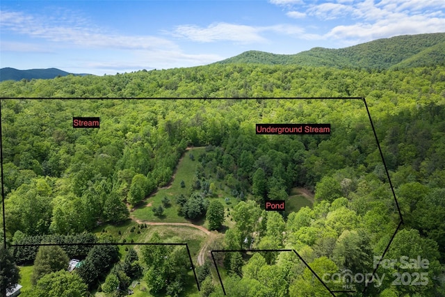 1557 Shoal Creek Rd, Balsam Grove, NC 28708