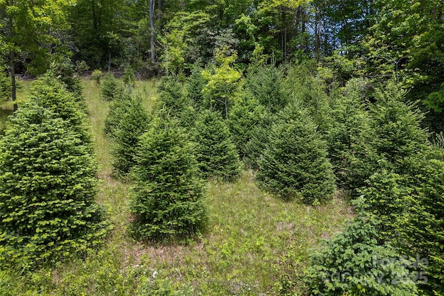 1557 Shoal Creek Rd, Balsam Grove, NC 28708