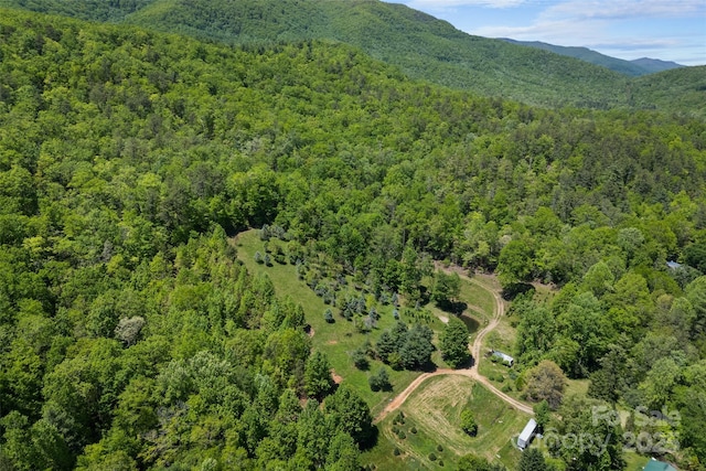1557 Shoal Creek Rd, Balsam Grove, NC 28708