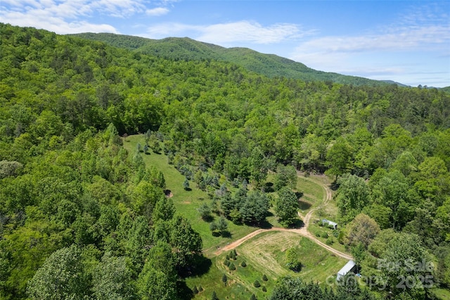 1557 Shoal Creek Rd, Balsam Grove, NC 28708
