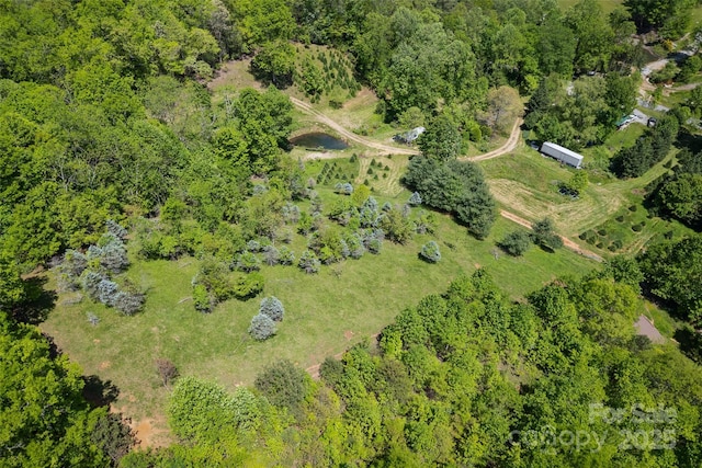 1557 Shoal Creek Rd, Balsam Grove, NC 28708