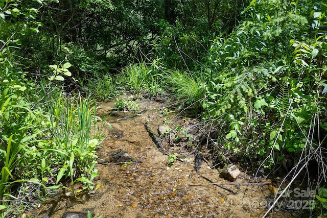 1557 Shoal Creek Rd, Balsam Grove, NC 28708