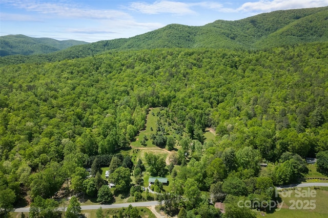 1557 Shoal Creek Rd, Balsam Grove, NC 28708