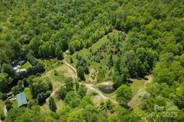 1557 Shoal Creek Rd, Balsam Grove, NC 28708