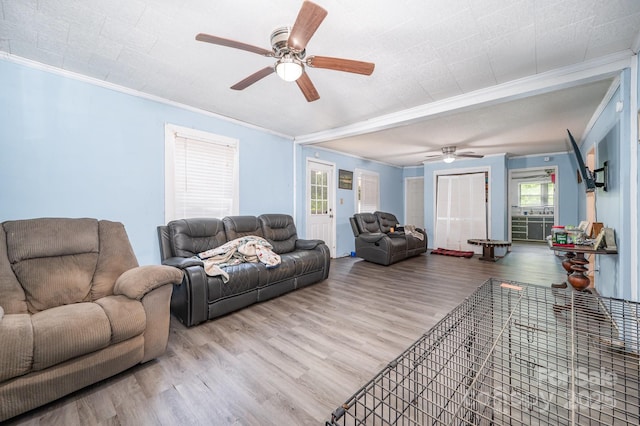 living area featuring ceiling fan, wood finished floors, and ornamental molding