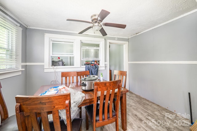 dining space featuring wood finished floors, ornamental molding, a ceiling fan, and a textured ceiling