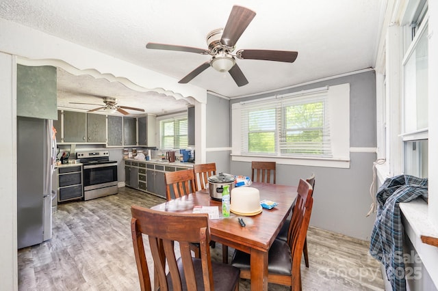 dining area featuring a ceiling fan, light wood-style floors, and a textured ceiling