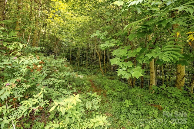 3440 Hamburg Rd, Mars Hill, NC 28754
