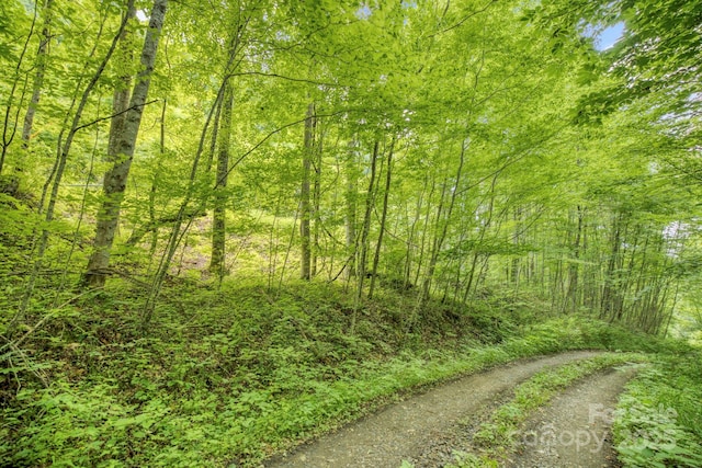 3440 Hamburg Rd, Mars Hill, NC 28754