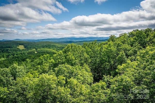 0 Methodist Park Rd, Valdese, NC 28690