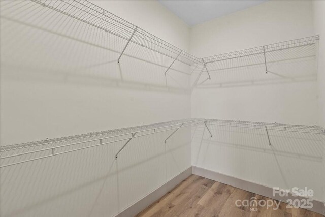 walk in closet featuring light wood-style floors