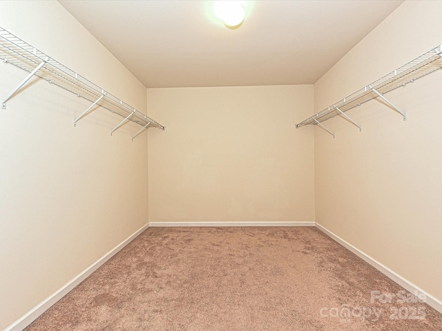 9027 Gray Willow Rd, Charlotte, NC 28227 - spacious closet with light carpet