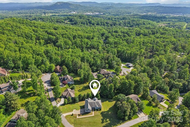 150 Baton Ln, Hendersonville, NC 28792 - photo 47