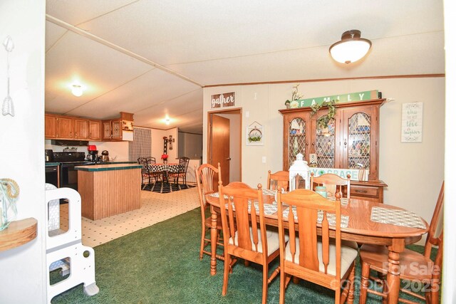 1574 Burke Duncan Rd, Lancaster, SC 29720 - dining room with carpet flooring and lofted ceiling