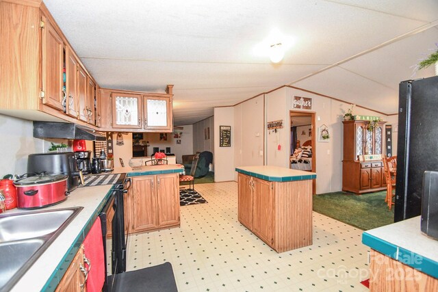 1574 Burke Duncan Rd, Lancaster, SC 29720 - kitchen featuring a sink, light countertops, a peninsula, light floors, and lofted ceiling