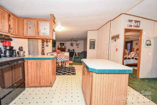1574 Burke Duncan Rd, Lancaster, SC 29720 - kitchen featuring electric range, light flooring, and light countertops