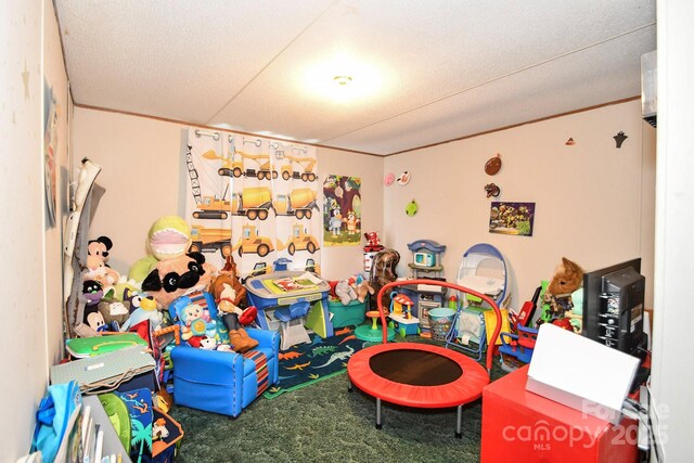 1574 Burke Duncan Rd, Lancaster, SC 29720 - rec room featuring carpet floors