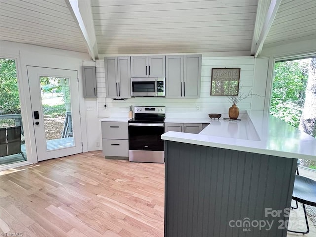 164 Johnson Ridge Rd, Elkin, NC 28621 - kitchen with appliances with stainless steel finishes, gray cabinets, light countertops, a peninsula, and light wood-type flooring