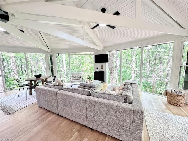 164 Johnson Ridge Rd, Elkin, NC 28621 - living room with a ceiling fan and light wood finished floors