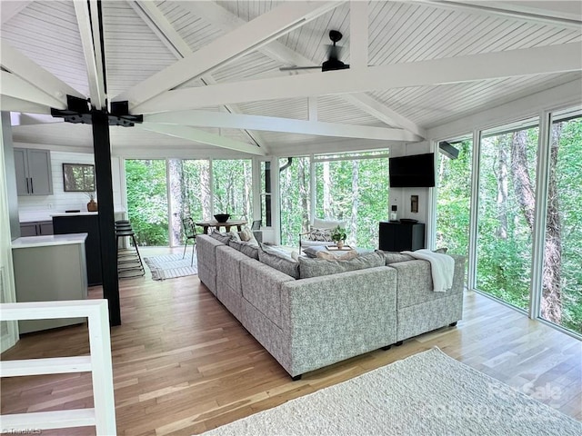 164 Johnson Ridge Rd, Elkin, NC 28621 - living area with ceiling fan, healthy amount of natural light, and light wood-type flooring