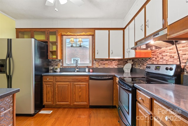 1405 8th Ave NW, Conover, NC 28613 - kitchen with appliances with stainless steel finishes, under cabinet range hood, a sink, light wood-style floors, and a ceiling fan