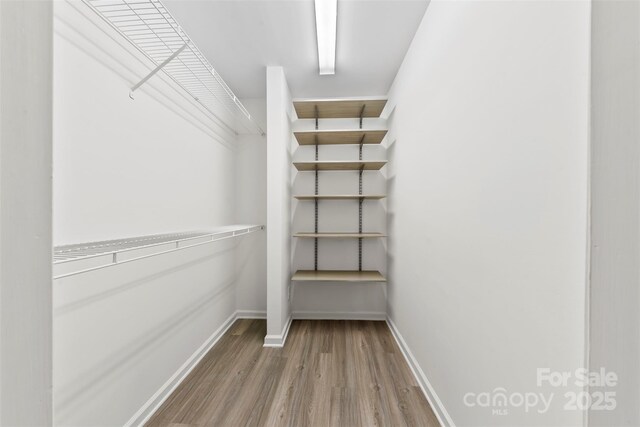 spacious closet featuring wood finished floors