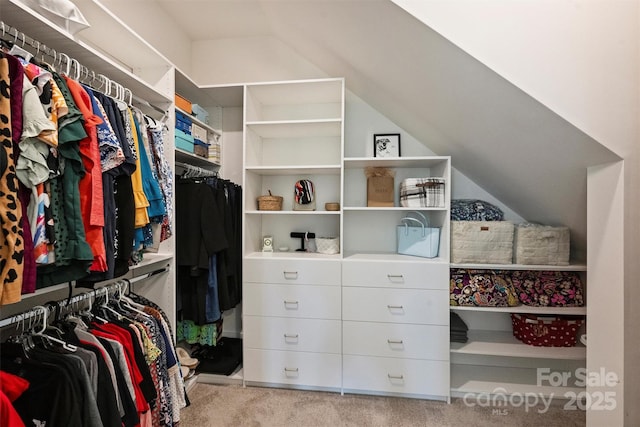 1133 Idyllic Ln, Waxhaw, NC 28173 - walk in closet with carpet and lofted ceiling