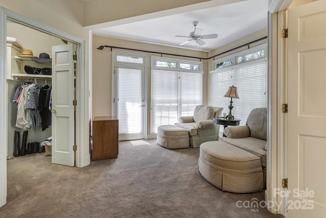 living area with carpet and a ceiling fan