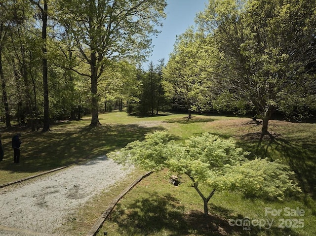 surrounding community with a yard