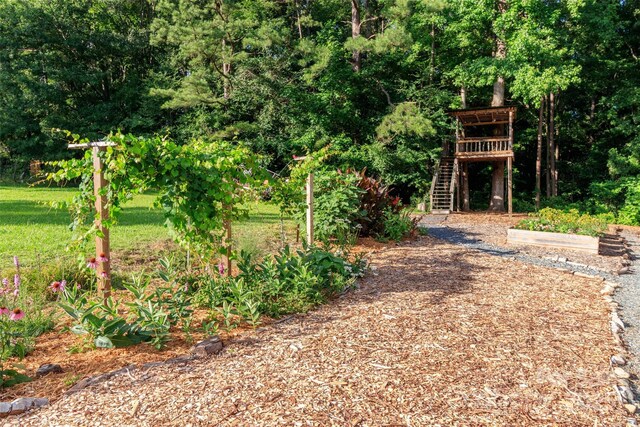 10743 Ola Dr, Indian Land, SC 29707 - photo 35