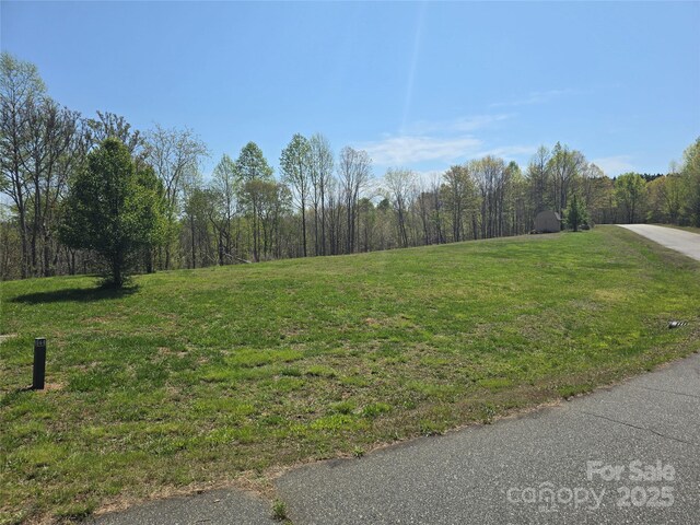 0 Hickory Loop Unit 44, Rutherfordton, NC 28139 - photo 3