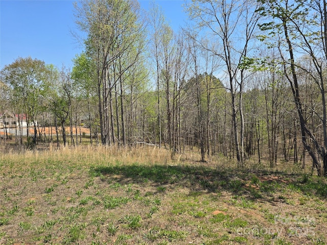 0 Hickory Loop Unit 44, Rutherfordton, NC 28139 - photo 5