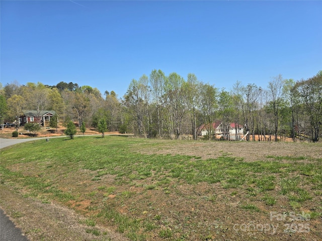 0 Hickory Loop Unit 44, Rutherfordton, NC 28139 - photo 7