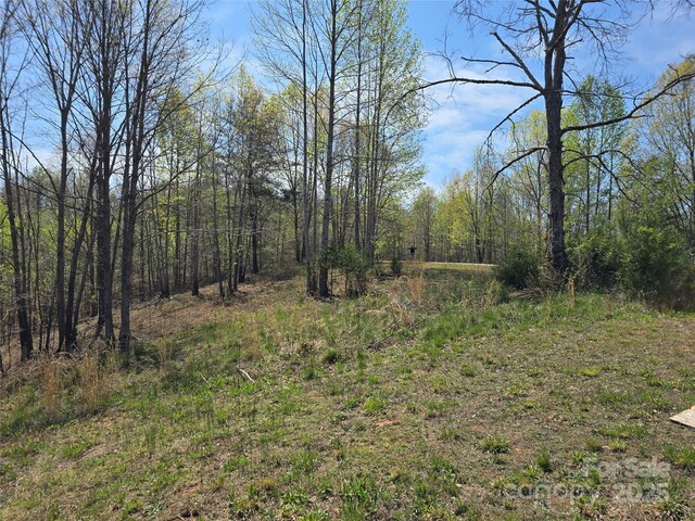 0 Hickory Loop Unit 44, Rutherfordton, NC 28139 - photo 9