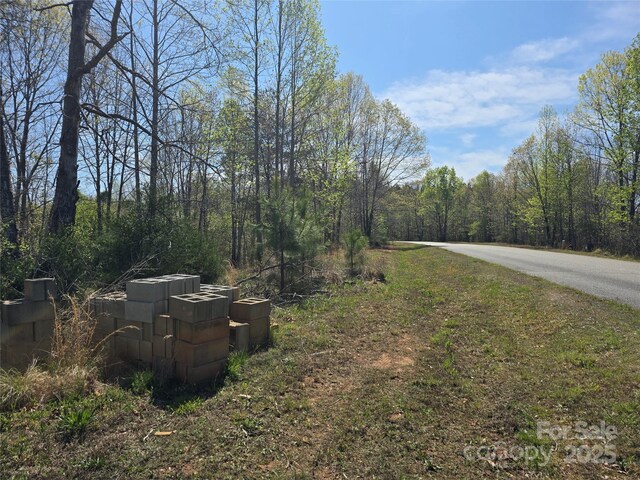 0 Hickory Loop Unit 44, Rutherfordton, NC 28139 - photo 12