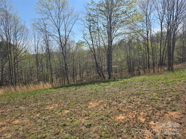 0 Hickory Loop Unit 44, Rutherfordton, NC 28139 - photo 16